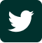 twitter icon